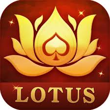 rummy add download
